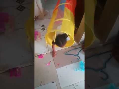 Birthday Play tube