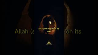 Jihad Al Nafs #shorts #youtubeshorts #jihad