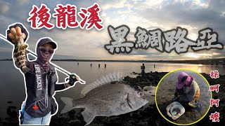 2020.08.XX 後龍溪出海口 超多底棲魚種 沙礁地形 魚比人多 完美呈現人人一隻 【黑鯛路亞】/黑鯛/石斑/紅槽/花生/黑點/石鱸/陳小Chi路亞日誌