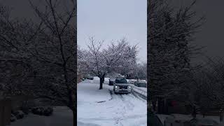 Snowfall | Mitsubishi Outlander Gt #shorts  #snow #cars