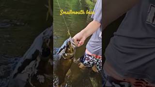 #smallmouthbass #fishing #fishpa