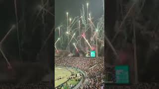 PSL Final #shortsfeed #pslfinal #winnerlahoreqalandar #winner #lahore #skindarraza