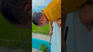 Gulabi Gulabi 🥹🥹😂😂#shotrs #trending #funny #ytshots