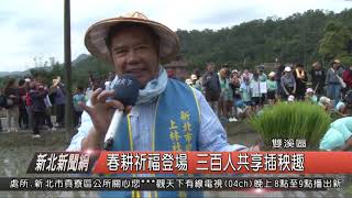 1080313新北新聞網01 雙溪區春耕祈福登場 三百人共享插秧趣