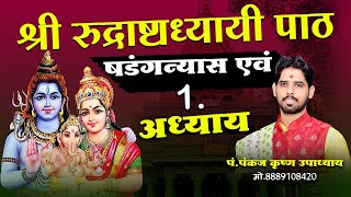 रुद्राष्टाध्यायी प्रथम अध्यायRudrashtadhyayi prtham Adhyay,Rudri Path,Rudri pahla Adhyay#VedPath