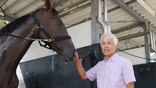 【秋華賞】ステレンボッシュは今回も栗東滞在で調整　田村助手「春より雰囲気がいいですね」｜競馬ニュース｜競馬予想のウマニティ