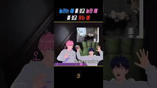 [플레이브/예준/밤비/은호]공포게임의 법칙:놀라는좌 놀라는좌 보고 같이 놀라는좌 쫄보들이 웃긴좌 포지션이 늘 비슷함 #플레이브 #plave #예준 #밤비 #은호 #파피플레이타임3