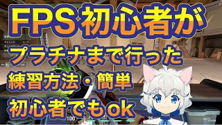 【VALORANT/ヴァロラント】だれでも上達するエイム練習方法　初心者からプラチナへ【エイム練習】