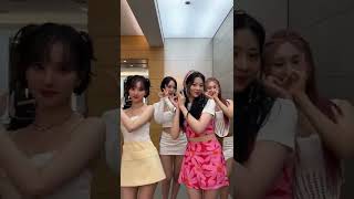 They are so cute for this ❣️#kimminju#viviz#loveade#eunha#sinb#umji#tiktok#tiktokchallenge#kpop#2022
