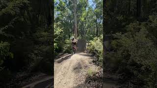 Fassifern big line