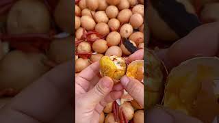 #Live pearls that can be fried and grilled #Gaga delicious #Spicy live pearls