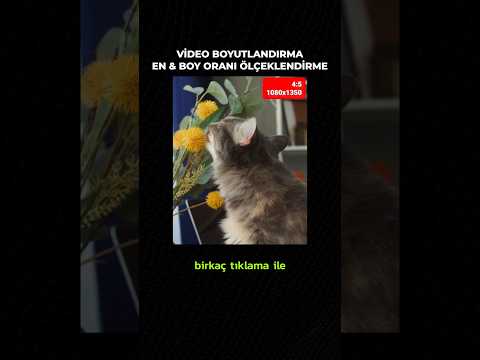 Video Boyutu Değiştirme: En Boy Oranı Ölçeklendirme - #işbirliği