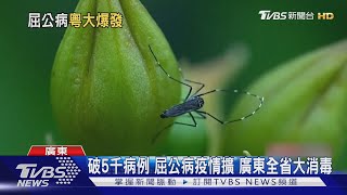 傳染力堪比新冠! 廣東屈公病擴散 R0值達7專家憂蔓延速度快｜TVBS新聞 @TVBSNEWS01