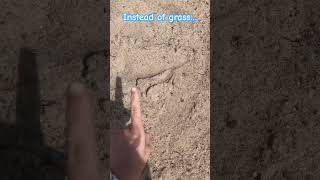 Touch water #memes #funny #touchgrass
