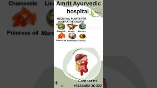 Ulcerative Colitis #ayurveda #bestayurvedhahospital #doctor #cheapprice #expertdoctor