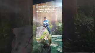 un dino erupto