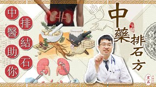 【腎結石怎麼辦？這帖中藥助你排出體內結石】｜宏品中醫劉師宏