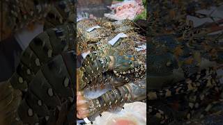 Charcoal-grilled lobster that you must eat when you go to Bangkok!!!