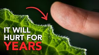 The Craziest Animal Facts