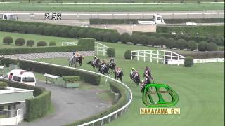 中山グランドジャンプ 2011年 マイネルネオス