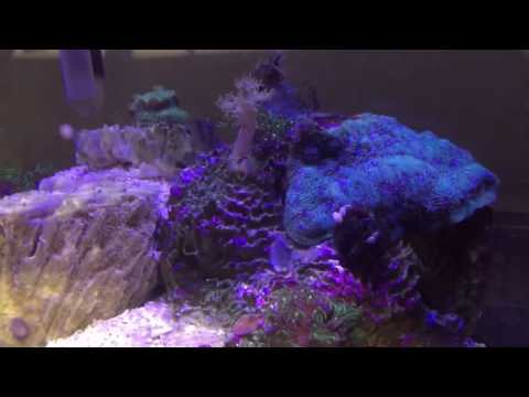 What's under the aquarium