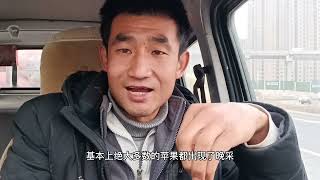 王老三说苹果市场行情动态变化规律，价格的涨跌时间与人性的弱点