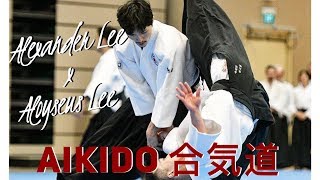 AIKIDO: Power with Relaxation