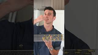 Dehydrated Cucumber Chips. What next? #foodexploration #veganrecipes #shorts #cucumber