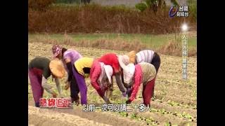 農業缺工 世代斷層;人口外移 農業困境