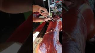 BABI GULING MASIH UTUH BUAT TES KRIUK