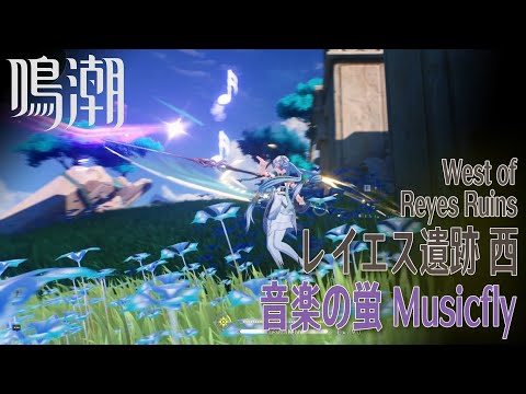 【鳴潮】音楽の蛍/リナシータ/レイエス遺跡西 [Musicfly,West of Reyes Ruins,Rinascita,Riccioli Islands,WUWA,38636]