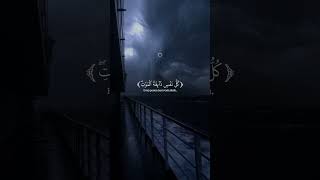 সুন্দর কুরআন তিলাওয়াত #shorts #quran #tilawatequran