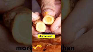 Fresh turmeric vs Dry turmeric powder #turmeric #curcumin #immunity #immunitybooster