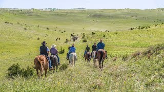 ROWSE'S 1PLUS1 RANCH, BEST DUDE RANCH GUEST RANCH VACATION! AUTHENTIC WORKING CATTLE RANCH!