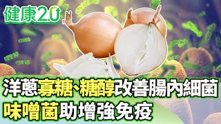 洋蔥寡糖、糖醇改善腸內細菌   味噌菌助增強免疫【健康2.0 分段】@tvbshealth20  EP3005-3  20250412 #陳欣湄 #韋汝 #祝年豐 #柳朋馳 #陳少偉