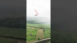 #flight #fly #flightsimulator #flights #water #instagood #vibesongs #indianarmy