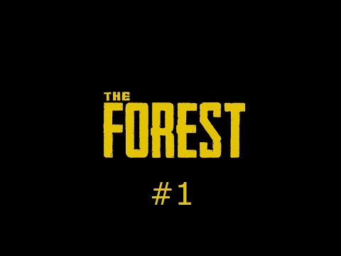 Alleine im Wald - Diavoloplays the Forest #1