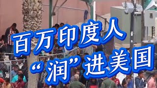 数百万印度人“润”进美国，白人恐成为少数族裔