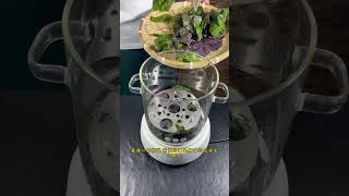 自製紫蘇純露 #草本植物 #護髮養膚 #純天然無添加