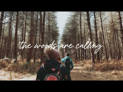 The Woods Are Calling - An Indie/Folk/Pop Playlist
