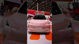 China’s Tesla Model 3 & Y Competitor is HERE!