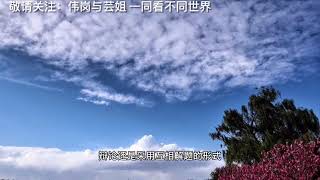 听解方程故事，了解数学发展背后的秘密，对提高数学水平很重要。数学家塔尔塔利亚与费拉里的故事，及悲剧结局