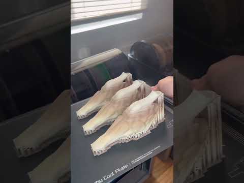 I 3D printed the Resonating Chamber of a Velociraptor #3dprinting #3dprinted #velociraptor