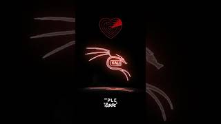 Kali Linux lover ❤️❤️