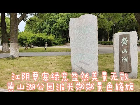 江阴要塞黄山湖公园，香樟树巍峨挺拔荷叶飘香，波光粼粼景色宜人