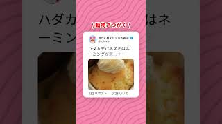 動物ざつがく ハダカデバネズミはネーミングが悲しすぎる