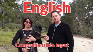 Learn English the EASY way, Comprehensible Input, LEARN ENGLISH NATURALLY while walking the dog