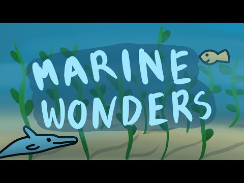 Marine Wonders - A Minecraft Datapack Contest! #TeamSeas