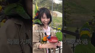 全台最大鳥類主題樂園，JoJoZoo九九峰動物樂園！ #南投景點 #九九峰動物樂園  #JoJoZoo