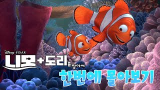 또 하나의 명작이었던 디즈니 영화『니모를 찾아서, 도리를 찾아서』 한번에 몰아보기 (애니리뷰)(결말포함)